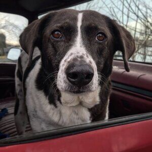 Meet your Posher, Haynes